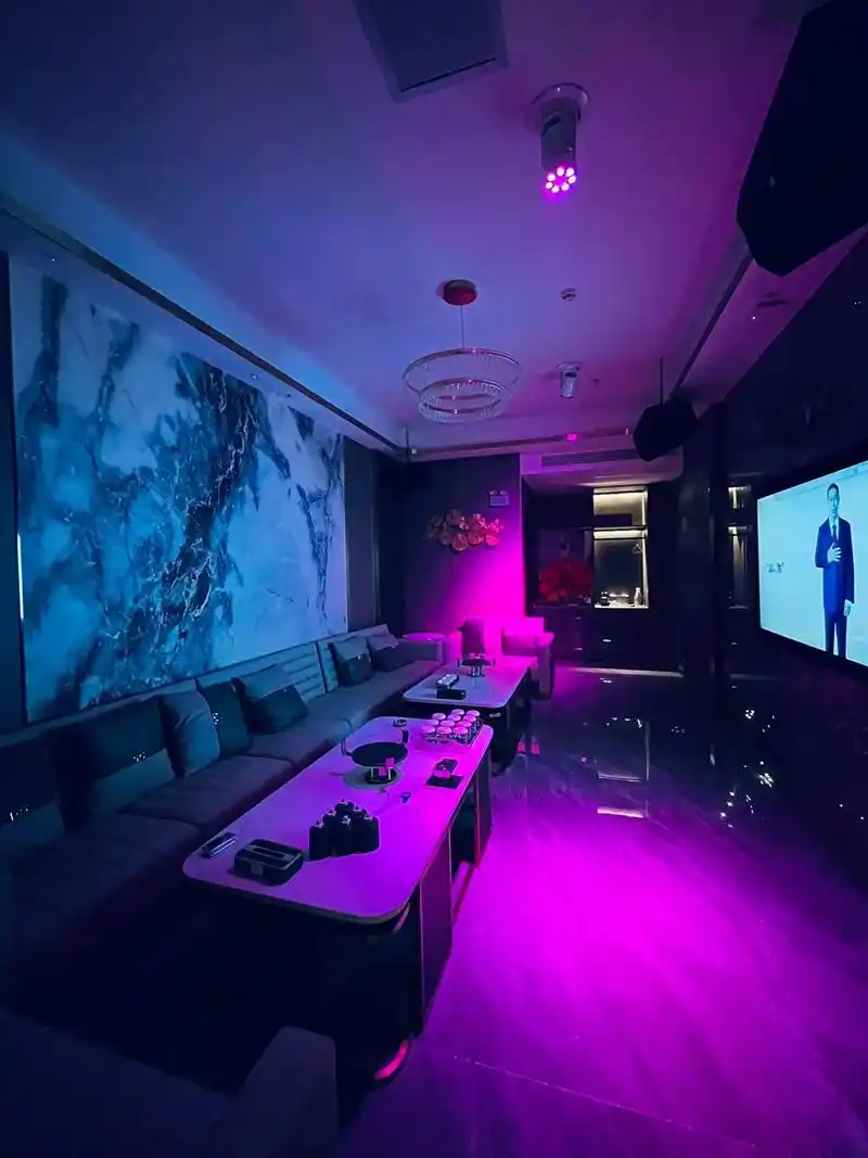 枣庄商务KTV存在吗-薛城区ktv预定